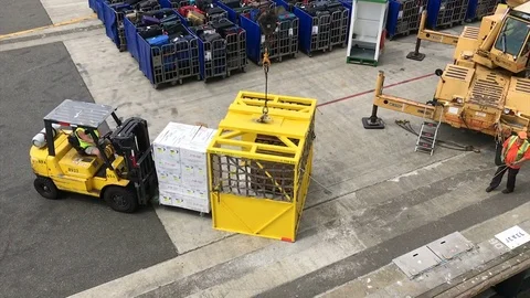 Fork lift and crane loading crates of eggs onto cruise ship Video stock 77981823