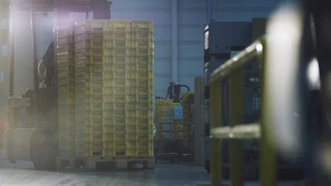 Fork lift driver in a hall Video stock 120525188