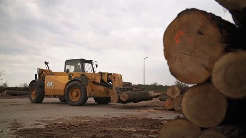 Fork Lift Loading Moving Tree Logs Trunks Sawmill Details Interior Slow motion Vídeo Stock 127825076