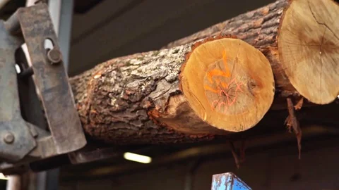 Fork Lift Loading Tree Trunks into Sawmill Details Interior Slow motion Stock Footage 128492322