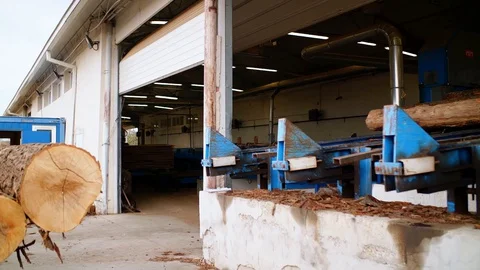 Fork Lift Loading Tree Trunks into Sawmill Details Interior Slow motion Vídeo Stock 128493507
