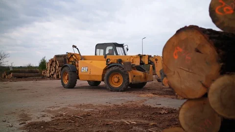 Fork Lift Truck Moving Loading Wood Tree Logs Trunks Vídeo Stock 128493435