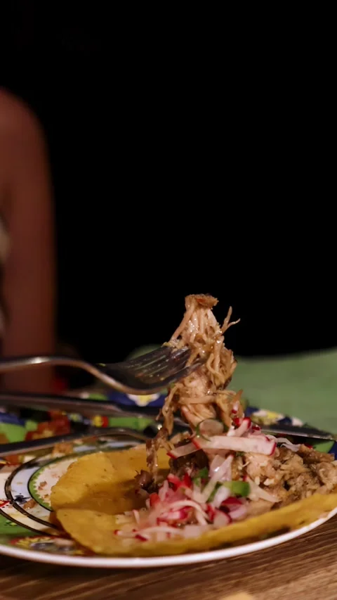 Fork Lifting Shredded Pulled Pork From Mexican Taco Stock Footage 314039515