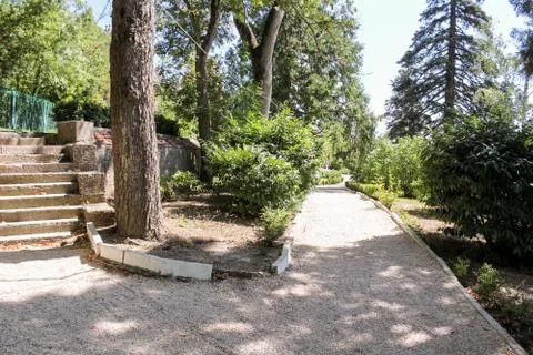 Fork in the park. Stock Photos