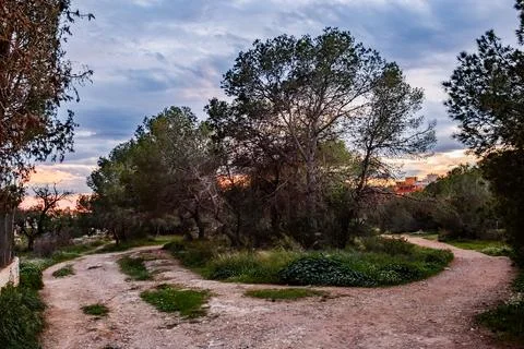 The Fork in the Path: Sunset in Benidorms Green Lung Stock Photos