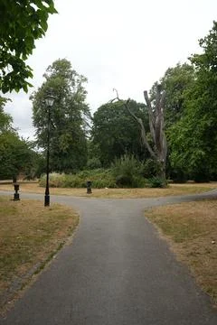 Fork In Paved Path With Lamppost And Dead Tree At Derby Arboretum, England. Stock Photos