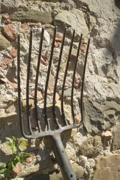 Fork Stock Photos