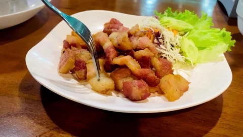 Fork Picking Up Crispy Fried Pork from a Plate Stock Footage 337929918