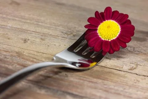 Fork with pink flower Stock Photos