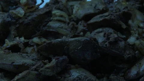 The fork raises fried chicken liver Stock-Footage 83807596