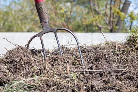Fork with red handle for composting, recycling lawn and garden waste. Forks s Fotos Stock