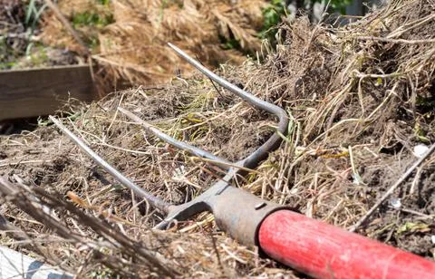 Fork with red handle for composting, recycling lawn and garden waste. Forks s Foto stock