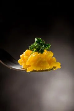 Fork with risotto with saffron Stock Photos