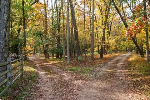 Fork in the Road Stock Photos
