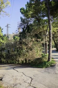 Fork in a road Stock Photos