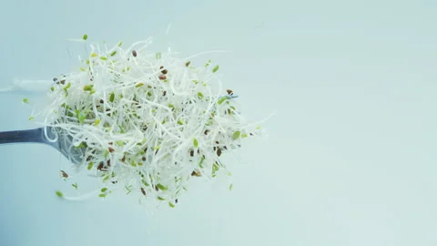 Fork with salad and greens.  Stock Footage 258578220