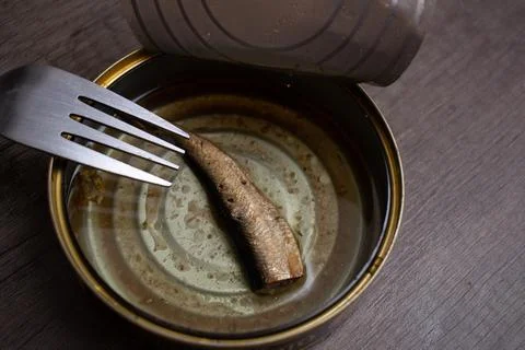 Fork on sprat can with only one depresive sprat in can. Stock Photos