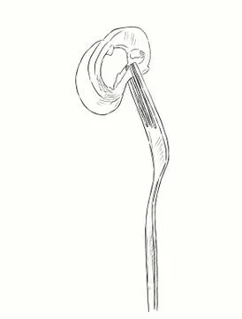 Fork with squid , hand draw sketch vector. Stock Illustration