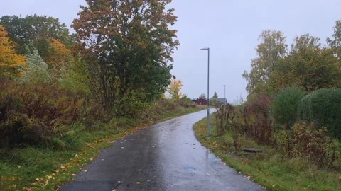 Fork In Wet Asphalt Park Pathway Surrounded By Autumn Foliage Stock Footage 347975705