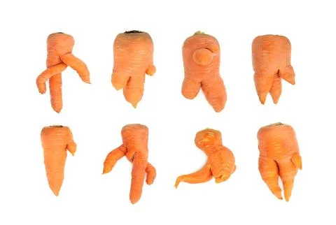 Forked Carrot Root Vegetables Large Group Stock Photos