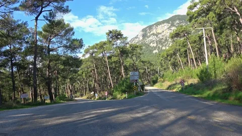 Forked road through pinery 2 Stock Footage 124444535