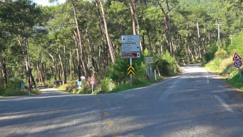 Forked road through pinery Stock Footage 124444706