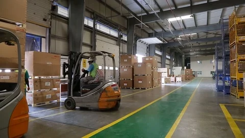 Forklift In Action Real Time 2 Video stock 123005645