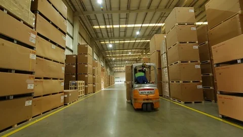 Forklift In Action Real Time 3 스톡 동영상 123008121