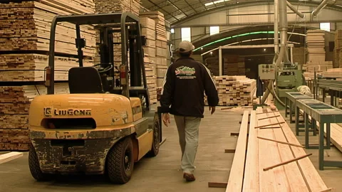 Forklift and Workers in Wood Processing Factory with Stacks of Lumber   Stock Footage 241875753