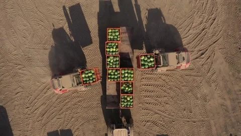Forklift dancing with watermelon containers Stock Footage 211329156
