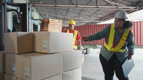 Forklift driver loading a shipping cargo container pallet with cardboard boxes Video stock 211974598
