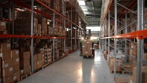 Forklift loading boxes on shelf in warehouse Stock Footage 161954972