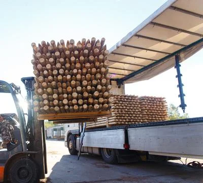 Forklift loading a bundle of pointed wooden stakes onto a truck trailer Fotos de archivo