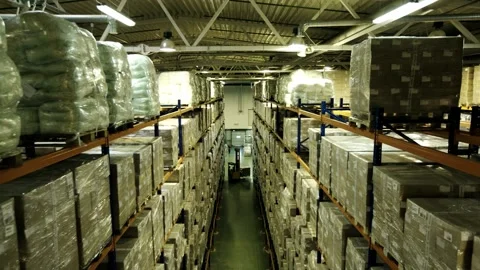 Forklift to logistics warehouse. Logistic loader pallets on logistic warehouse Stock Footage 133290769