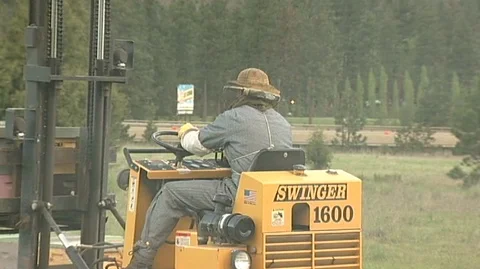Forklift Moving Hive Boxes Stock Footage 93032954