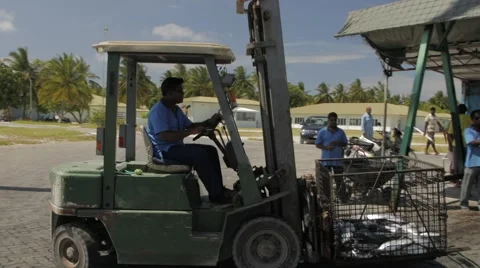 Forklift Transporting A Container With Fresh Tuna Stock Footage 60917768