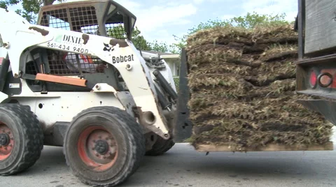 Forklift transporting stacks of sod Stock Footage 57673538
