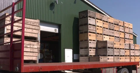 Forklift truck stacking fruit crates on a truck Stock Footage 70788711