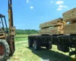 Forklift Unloading Construction Lumber 02 SD Footage