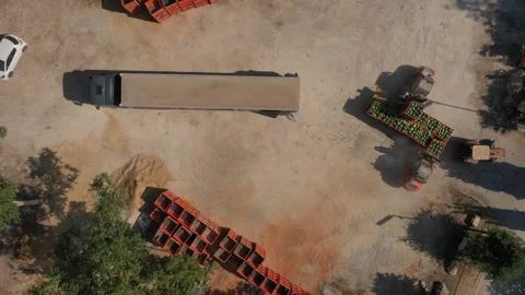 Forklifts load containers of watermelons Stock Footage 211340880