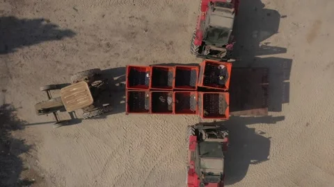 Forklifts move empty containers Stock Footage 211367183