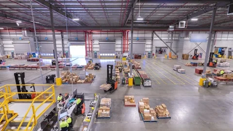 Forklifts Moving Pallets and Workers Operating in Busy Warehouse Loading Dock Stock Footage 317689143