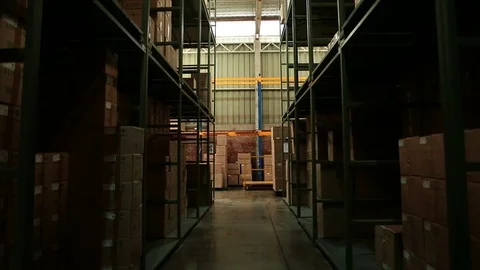 Forklifts transports boxes Stock Footage 77048693