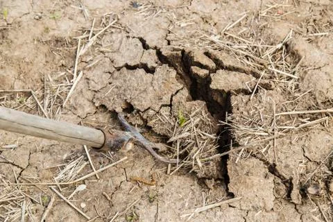 Forks in the ground Stock Photos