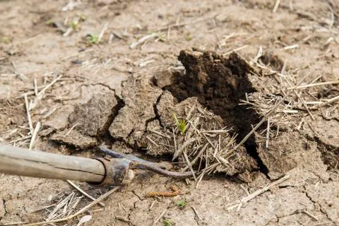 Forks in the ground Stock Photos