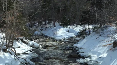 Forks of a mountain stream Stock Footage 169591472