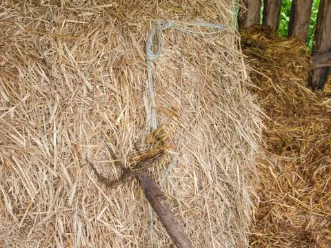 Forks for straw Stock Photos