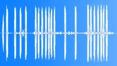 ForkTailed Storm Petrel CUSound Effect