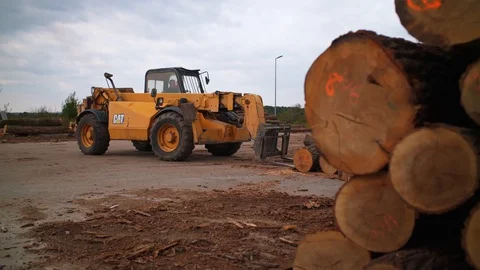 Forllift Truck Loading Tree Logs Warehouse Logging  Vídeo Stock 128493427