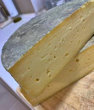 Form of cheese Stock Photos